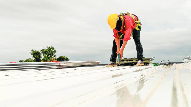 Best Sheet Metal Roofing  in Winnie, TX