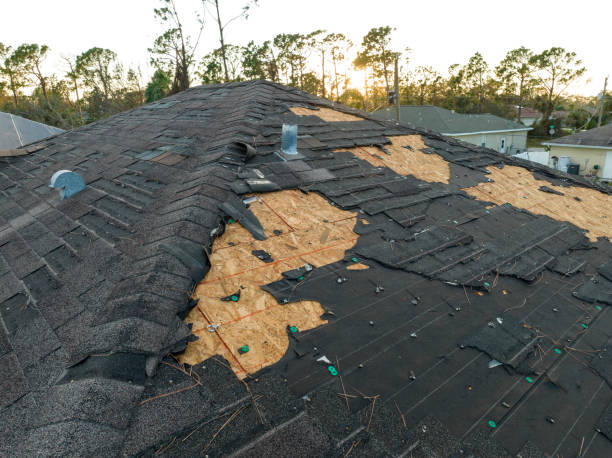 Best Storm Damage Roof Repair  in Winnie, TX